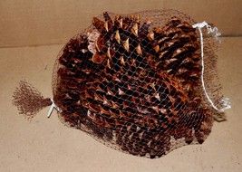 Firestarter Pinecones Wax Coated Fragrant Long leaf Burn Hot Easy Start ... - £5.98 GBP