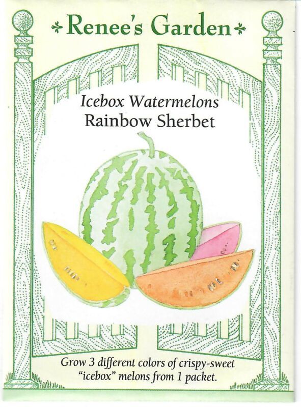 GIB Watermelon Icebox Rainbow Sherbet Vegetable Seeds Renee's Garden  - $9.00