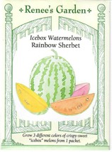 GIB Watermelon Icebox Rainbow Sherbet Vegetable Seeds Renee&#39;s Garden  - £7.11 GBP