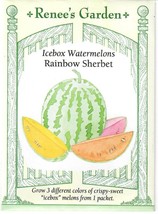 GUNEL Watermelon Icebox Rainbow Sherbet Vegetable Seeds Renee's Garden  - $8.00