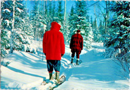 Postcard Vermont Couple on Snow Shoes  No Information Photograph 4 x 6 Inches - £3.88 GBP