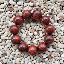 Gorgeous 22 MM Akar Laka Bracelet Dalbergia Parviflora 11 Beads Kayu Menang #52 - $91.00