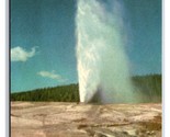 Beehive Geyser Yellowstone National Park Wyoming WY UNP Chrome Postcard Z2 - $1.93