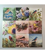 3.5&quot; Birds Tanager Goldfinch Warbler Flowers Nature Scene Square Paper C... - $129.69 MXN