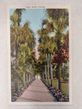 Vintage Postcard Palm Walk Florida Made in USA - £7.78 GBP