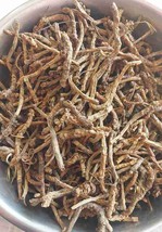 Pure Kutki root for Liver - Katuki - Picrorhiza Kurroa | 100 grm - £8.19 GBP