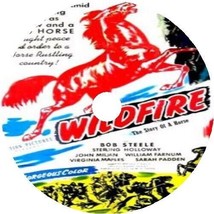 Wildfire (1945) Movie DVD [Buy 1, Get 1 Free] - £7.81 GBP