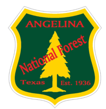 7&quot; angelina national forest texas bumper sticker decal usa made - $27.99