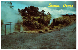 Steam Vents Hawaii Volcanoes National Park Hawaii Postcard - £3.87 GBP