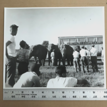 1960s Clyde Beatty Circus Train Circus Elephants Crowds Watching 8x10&quot; P... - £27.91 GBP