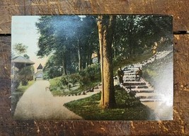 Rustic Steps, Wilcox Park, Westerly R.I. - Postcard C. 1907-1915 - £2.38 GBP