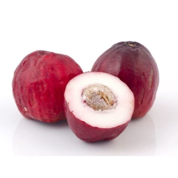 Malay Apple Mountain Apple Syzygium Malaccense2 Seeds 2024 Fresh Garden