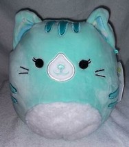 Squishmallows CORINNA the Aqua Kitty Cat with Furry Tummy 8&quot;H NWT - £16.51 GBP