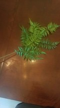 fern artificial 1 stem very pretty - $19.97