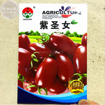 Purple Shengnv Indeterminate Tomato Organic Seeds - £5.90 GBP