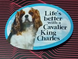 Dog Magnet: Life&#39;s Better With a Cavalier King Charles FUN Cute Great Gift! Nice - £7.56 GBP