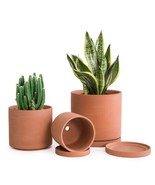 D&#39;vine Dev Terracotta Pots for Plants, 4.2 Inch 5.3 Inch 6.5 Inch, Succu... - $27.10