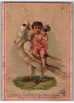 Victorian Trade Card Sarica Coffee Girl Cupid? Riding Large Bird Anthrop... - $182.84 MXN