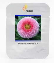 Pink Little Daisy Flower 30 Seeds Fragrant Bellis Perennis HybridE3246 - £7.04 GBP