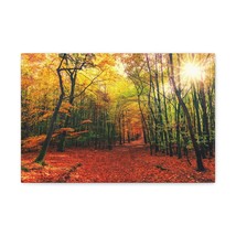 Autumn Forest is Beautiful Forest Floral Nature Photography Canvas Wall Art for - £72.13 GBP+