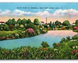 Black River at Croswell Port Huron Michigan MI UNP Linen Postcard Z2 - $2.92