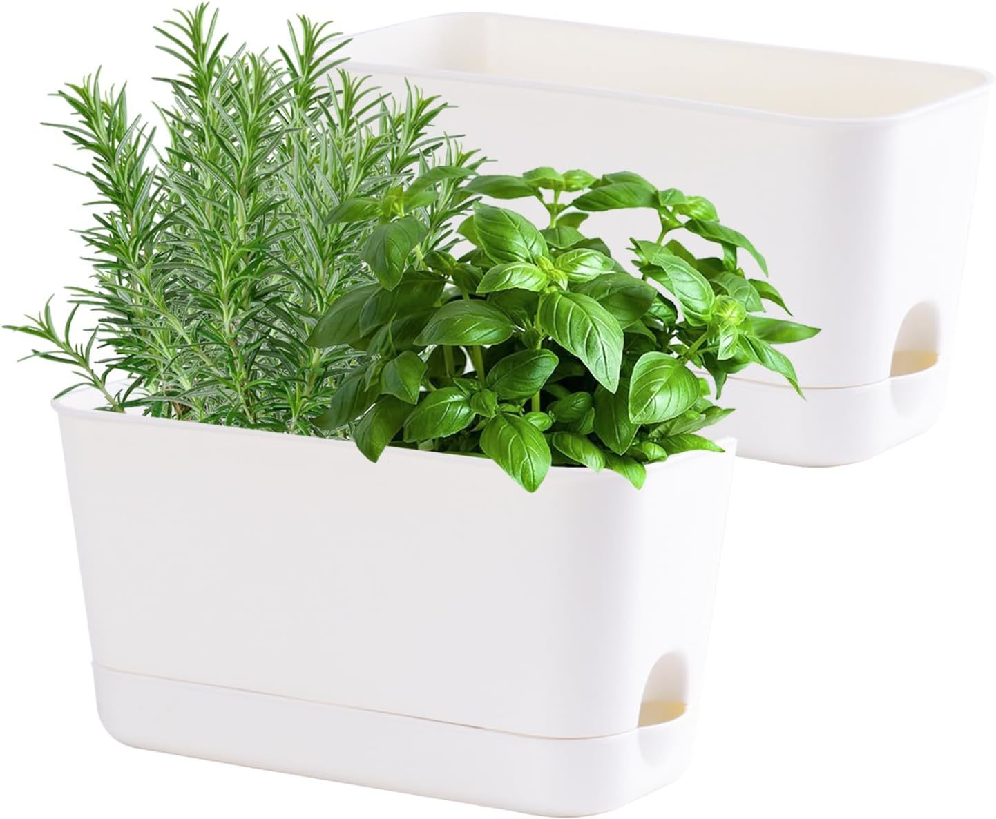Herb Garden Planter Indoor Kit Self Watering Pots For Indoor/Outdoor Pla... - $44.99
