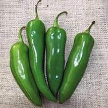 Pepper, Anaheim, Heirloom, 50 Seeds, Mildly Spicy Great Fresh OR Dried - $5.99