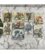 Vintage Made in Canada Wood Fridge Magnets Birds Art Paintings Lot of 9 - $21.77