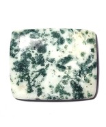 66.75 Carats TCW 100% Natural Beautiful Tree Agate Square Cabochon Gem b... - $25.45 CAD