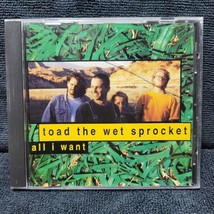 All I Want [Single] by Toad the Wet Sprocket (Modern Rock) (CD, Columbia (USA)) - £25.41 GBP