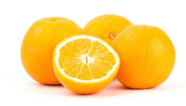 5 Dream Navel Orange Seeds For Garden Planting    Fast Shipping From US - $8.98