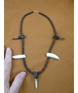 G162-501 1.25" Alligator Tooth + 3 claw TOE brown water buffalo beaded N... - €54,97 EUR G162-501 1.25" Alligator Tooth + 3 claw TOE brown water buffalo beaded N... - €54,97 EUR