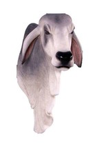 Brahman Bull Head Life Size Statue - £692.59 GBP