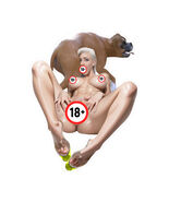 Erotic H Sticker: Alanah's Alley Adventure (2 Versions) - $5.57 - $16.38