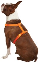 Zack &amp; Zoey 1&quot; Nylon Dog Harness with Nickel-Plated D-ring and Plastic Buckles,  - £9.63 GBP