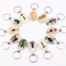 8 Pcs Real Golden Scorpion Glow Keyring Insect Keychain Gift - £29.17 GBP