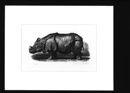 Rhino/ A Wood Cut Print/ By: Christopher Wormell - $260.00