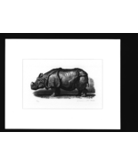 Rhino/ A Wood Cut Print/ By: Christopher Wormell - £204.45 GBP
