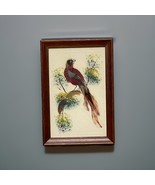 Vintage Feather Bird Art Wood Frame Wall Hanging Folk Art Decor Cute Mid... - €19,60 EUR