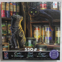 Ceaco 550 Piece Puzzle NIGHT SPIRIT Lisa Parker APOTHECARY CATS Tabby bl... - $28.01