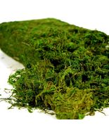 Usmola Artificial Fake Moss 8OZ Craft Moss for Potted Plant Centerpieces... - $35.78