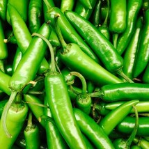 HT 30 Seeds Serrano Pepper Seeds Heirloom Non-Gmo Seed Store 1010 Garden... - $9.94