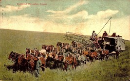 Vintage POSTCARD-HORSE &amp; Mule Drawn Combined Harvester, Oregon BK56 - £3.32 GBP