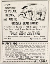 1955 Print Ad Polar,Brown Arctic Grizzly Bear Hunts Leon Shellabarger Spenard,AK - £5.53 GBP