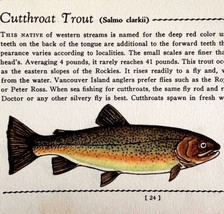 Cutthroat Trout 1939 Fresh Water Fish Art Gordon Ertz Color Plate Print PCBG20 - £23.59 GBP