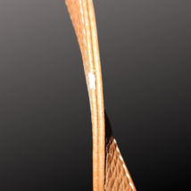 Montana West Feather and Fringe Brown Shoulder Bag Purse image 4