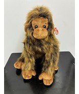 - Retired Jake - 2000 Ty Classic Plush - 13&quot; Dark Brown Monkey - MWMT- - $375.62 MXN
