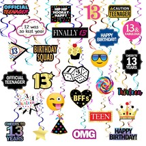 13Th Birthday Hanging Swirls - 28 Pieces - Funny 13Th Birthday Party Sup... - $19.99