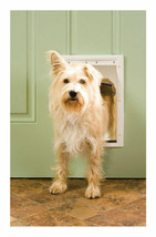 PetSafe White &amp; Durable Plastic Dog Pet Door Medium Dog/Large Cat NIOB C... - $83.29