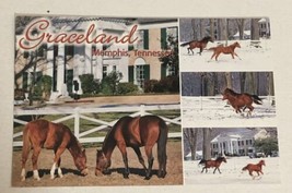 Elvis Presley Postcard Elvis Graceland In Snow Horses - $3.46